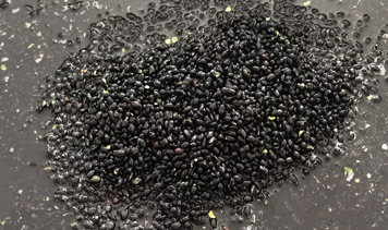 K8���� - ����Ӯ�ҡ�һ������