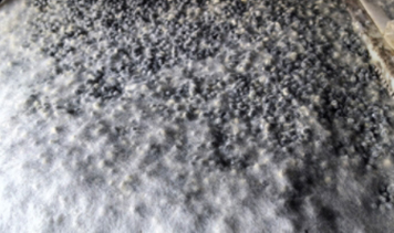 K8���� - ����Ӯ�ҡ�һ������