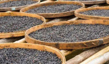 K8���� - ����Ӯ�ҡ�һ������