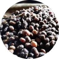 K8���� - ����Ӯ�ҡ�һ������