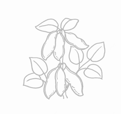 K8官网 - 天生赢家·一触即发