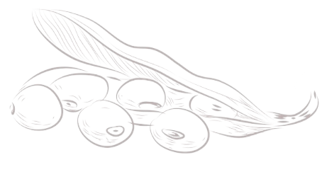 K8官网 - 天生赢家·一触即发