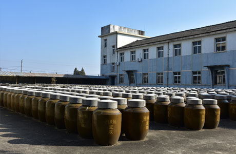 K8���� - ����Ӯ�ҡ�һ������